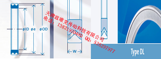 GMNDL120X140X10油封圖紙